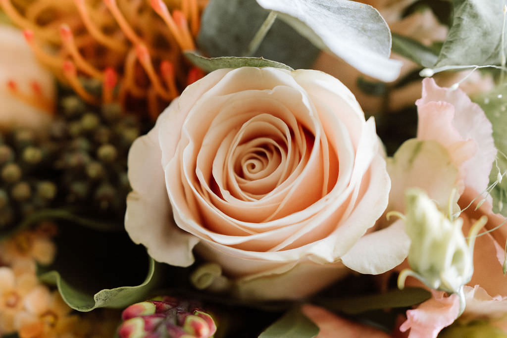 Getting ready bij slot doddendael. Bloemen detail. 
