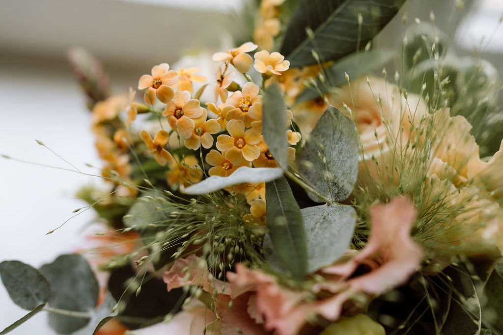 Getting ready bij slot doddendael. Herfstige bloemen. 