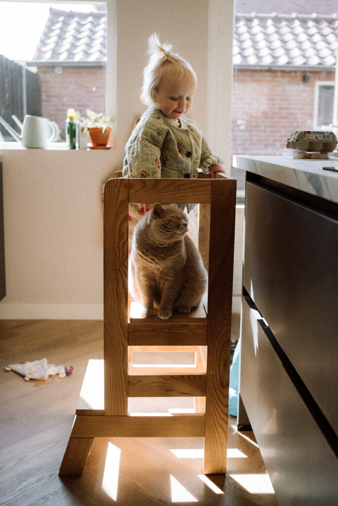 Meisje in de keuken met kat op leertoren – alledaagse momenten vastleggen met fotografie
