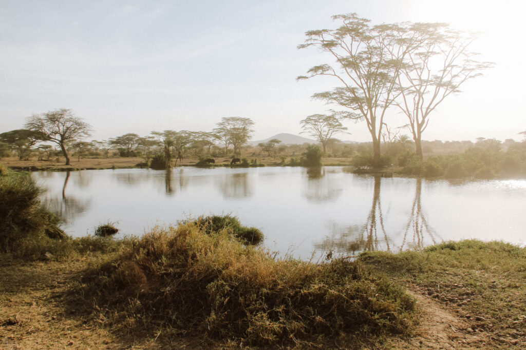 Afrikaans landschap 